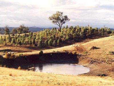 LOT 5 BRADLEYS LANE, Heathcote