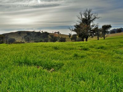 Lot 2, 101 Mcfarlanes Road, Granya