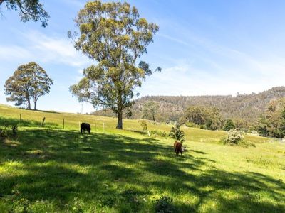 1440 Huon Highway, Lower Longley
