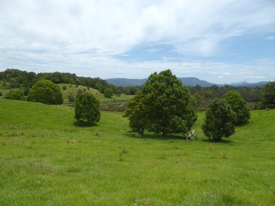 Lot 9 Mullumbimby Road, Mullumbimby