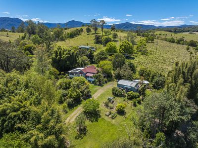 2394 NIMBIN ROAD, Nimbin