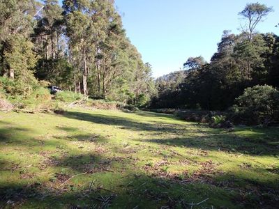 Lot 19 Waggs Gully Road, Ranelagh