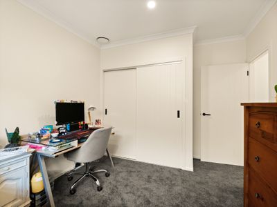 25 Kakapo Street, Saint Leonards