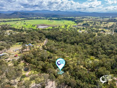 45 Lyrebird Place, Bodalla