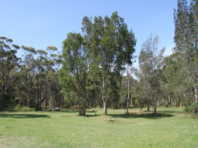 5 Sweetpea Road, Forster