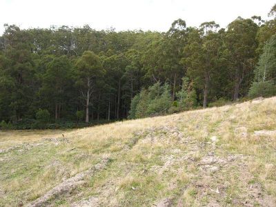 Cowmeadows Road, Cradoc