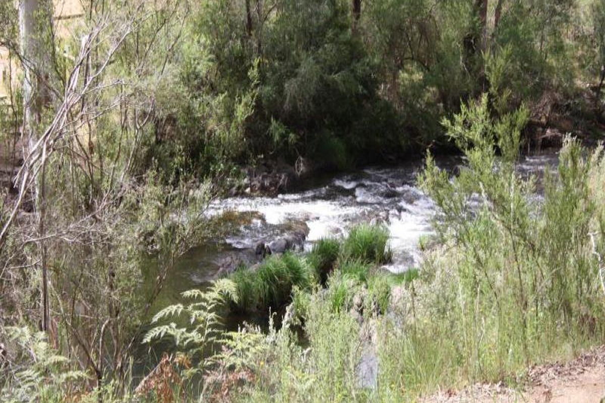 107 Martin Street, Howqua Hills