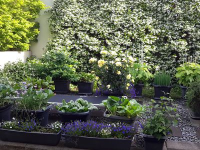 E3/71 Spencer Road, Albany