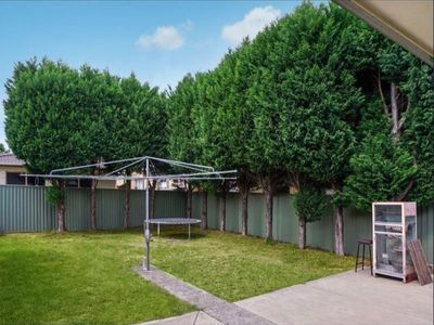 270 Lakemba Street, Wiley Park