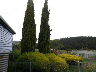 5 Padmans Lane, Geeveston
