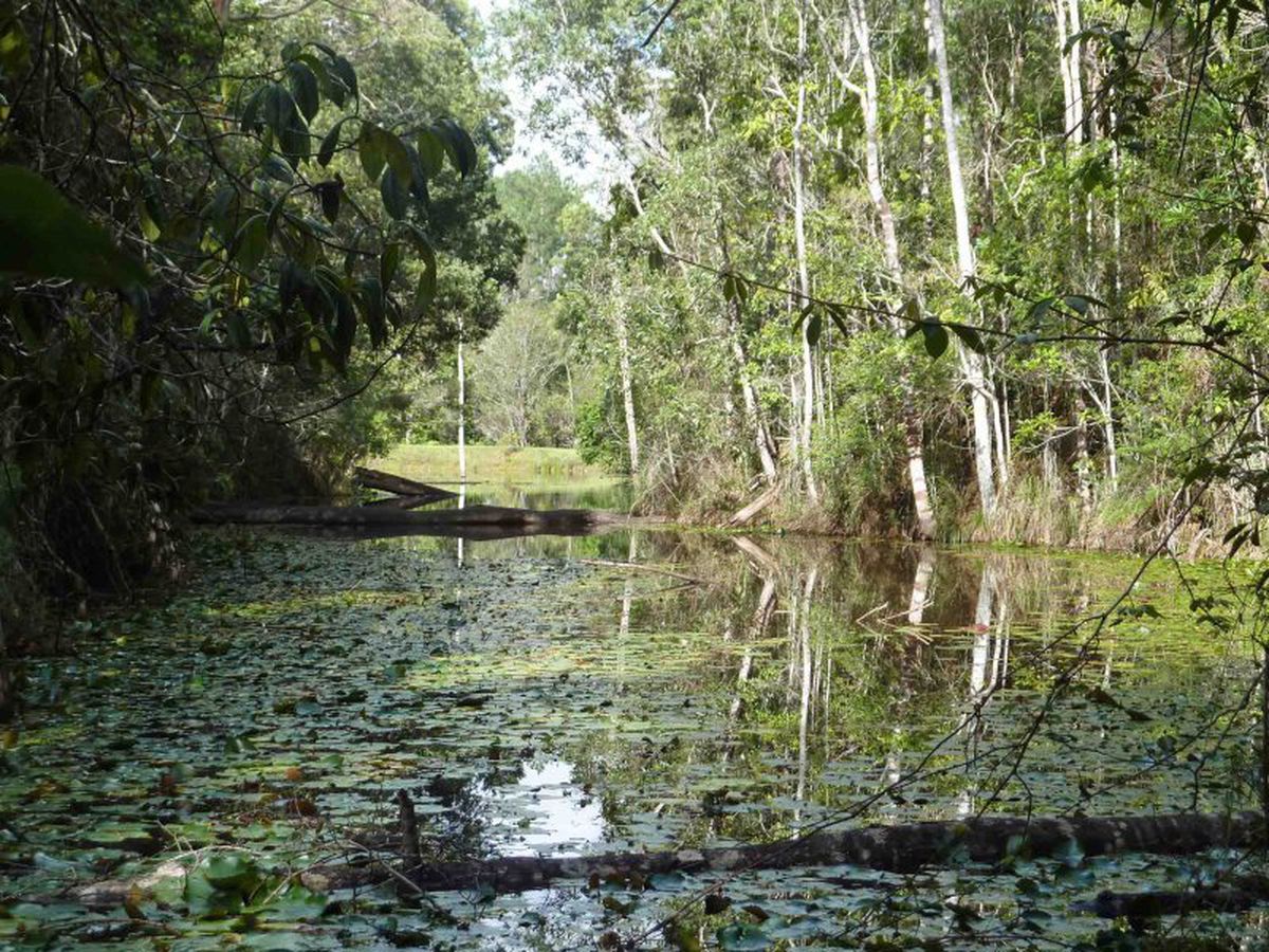 Yungaburra