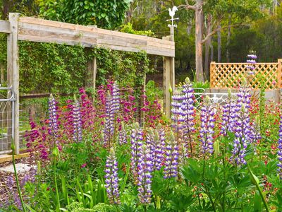 22 Linnells Road, Huonville