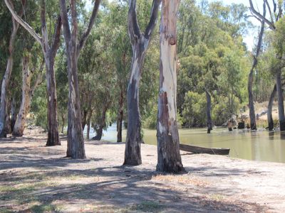 Lot 12, Glenview Drive, Barham