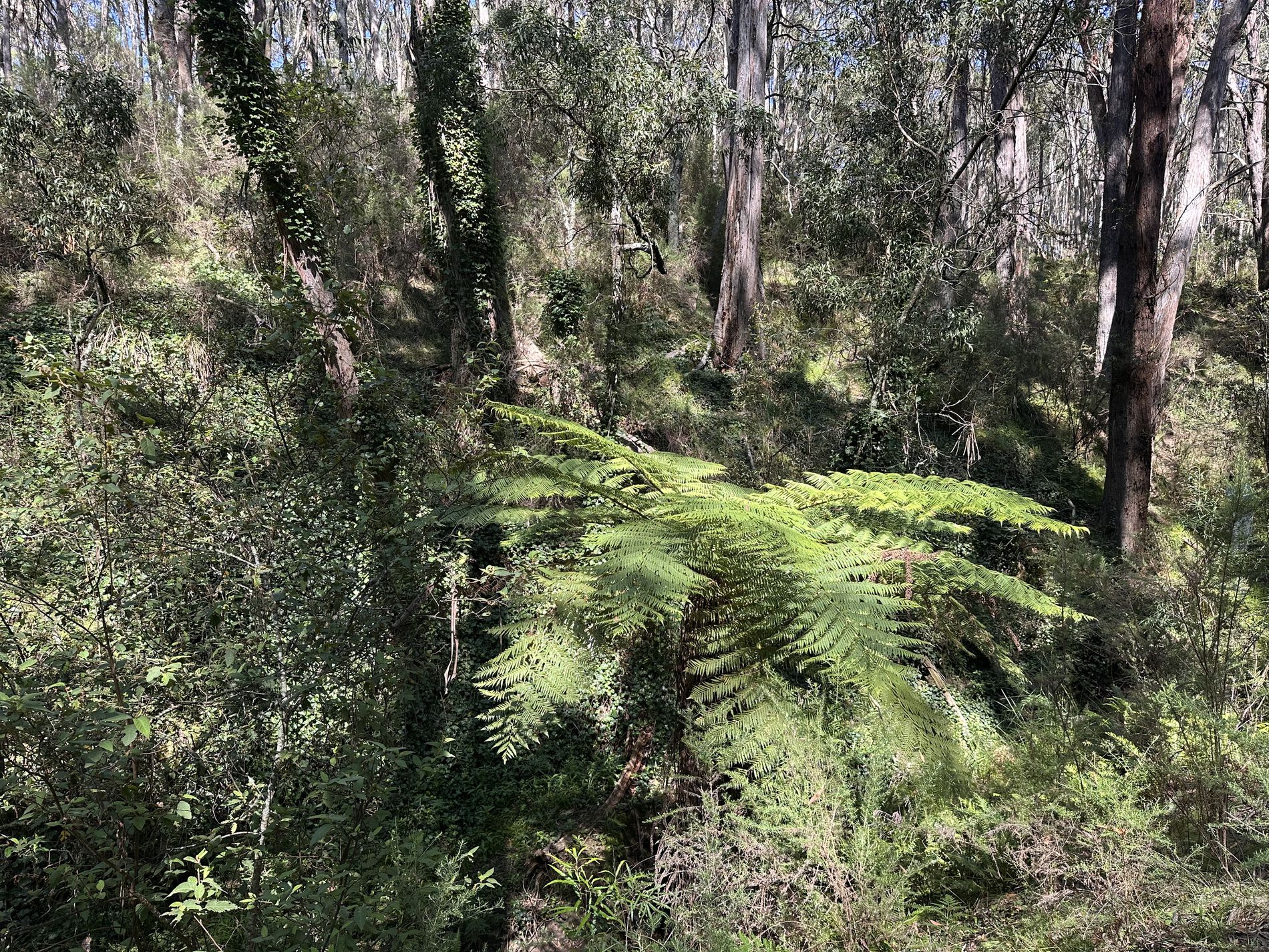 124 Gumms Road, Harolds Cross