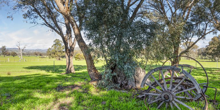 10 Dunnings Road, Balmattum