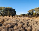 MIDDLE ROAD, Mitchell