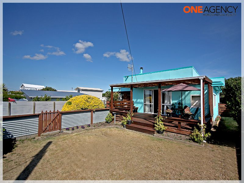 22 Andresen Street, Foxton Beach