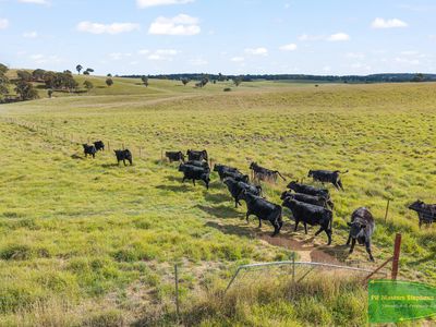 4616 Trunkey Road, Arkell