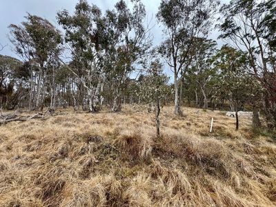 Lot 231, Wollun Road, Walcha Road