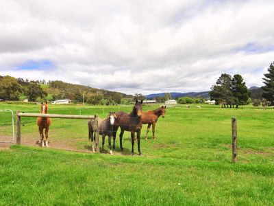 Gardners Bay