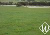 176 Napier Road, Dalyup