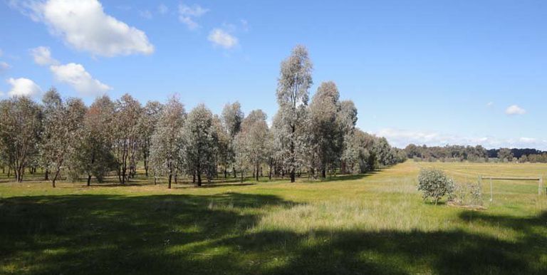 Walls Road, Euroa