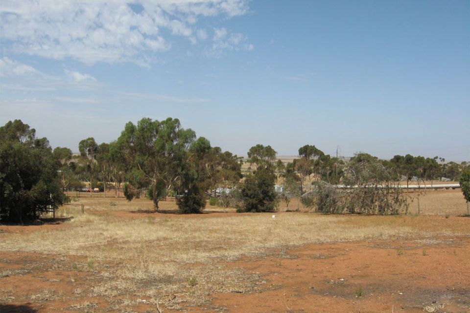 Palmer CE Property Group