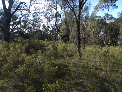 15 Moran Court, Graytown