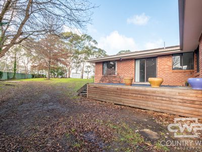 31 Hunter Street, Glen Innes