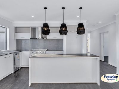 11 Asperula Street, Tarneit