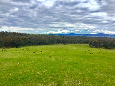 689 Mountain Creek Road, Mullengandra