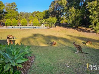 33 Raywood Road, Bouvard