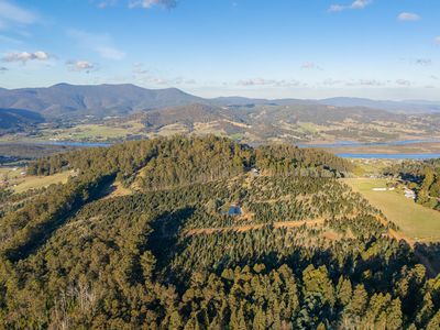 off Paddys Lane , Franklin