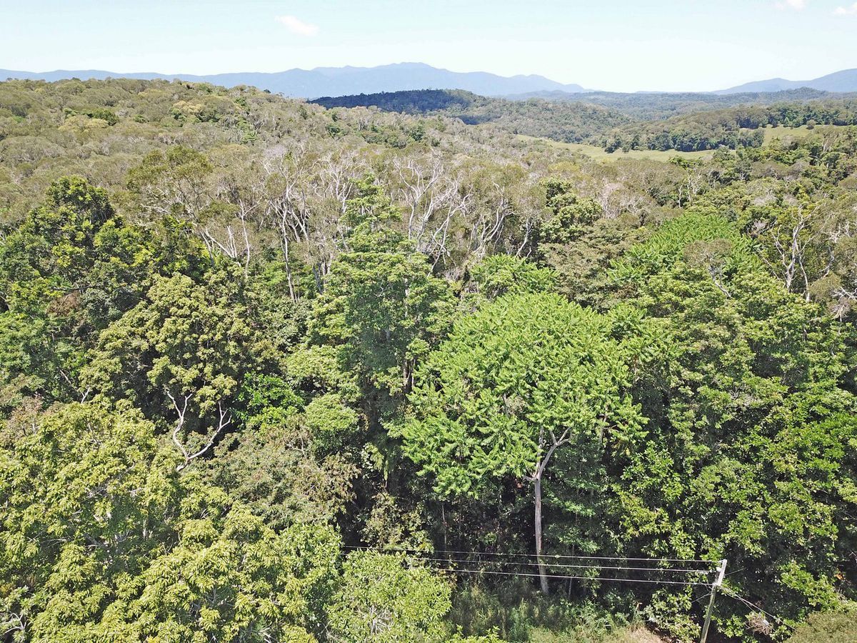 Lake Eacham