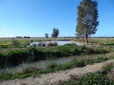 2325 Kerang-Murrabit Road, Kerang