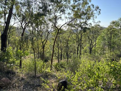 494 Yeppoon Road, Limestone Creek