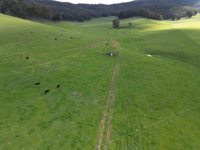 'Eastmore' 1177 Callaghan Creek Road, Mitta Mitta