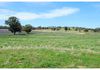 7034 Burrendong Way, Wellington