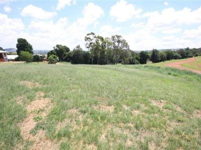 25 Avocado, Kingaroy