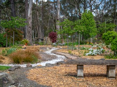 1261 Sheepwash Road, Fitzroy Falls