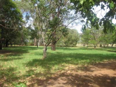 106 Warren Road, Narromine