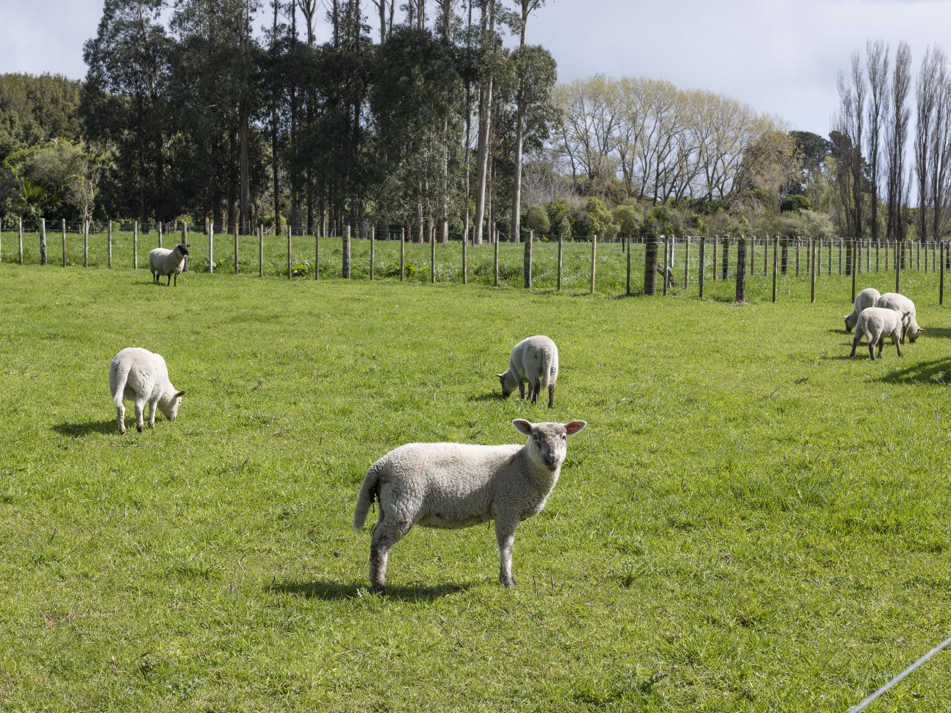 225 Waitohu Valley Road, Otaki