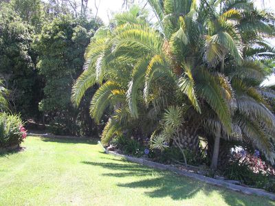 39 Panorama Crescent, Forster