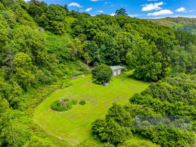 35 Black Bean Road, Wilsons Creek