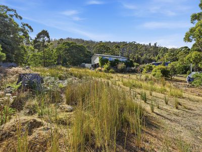 63A Williams Road, Randalls Bay