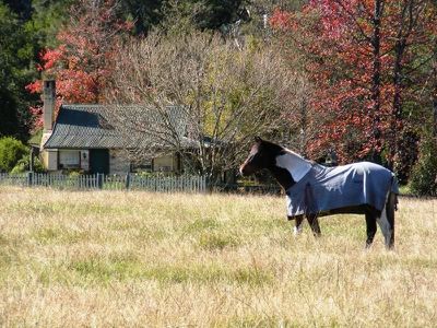 2054 Moss Vale Road, Kangaroo Valley