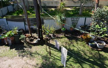 23 Cams Boulevard, Summerland Point