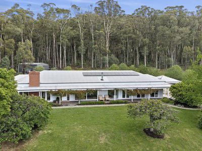 41 Vinnicombes Road, Romsey