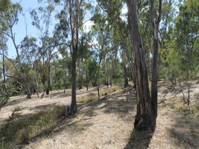 4 Redgum Court, Heathcote