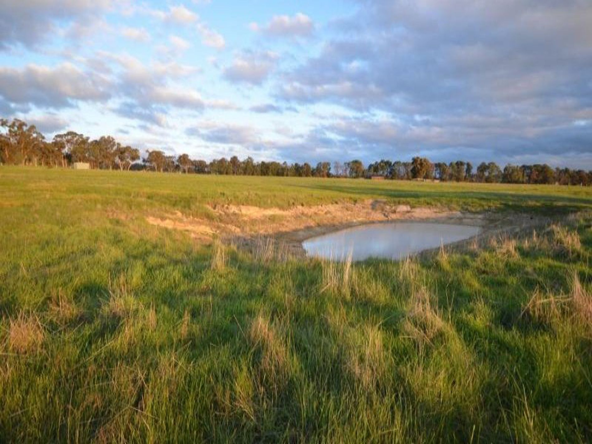 Lot 7 Hamilton Way, Lockwood South PH Property